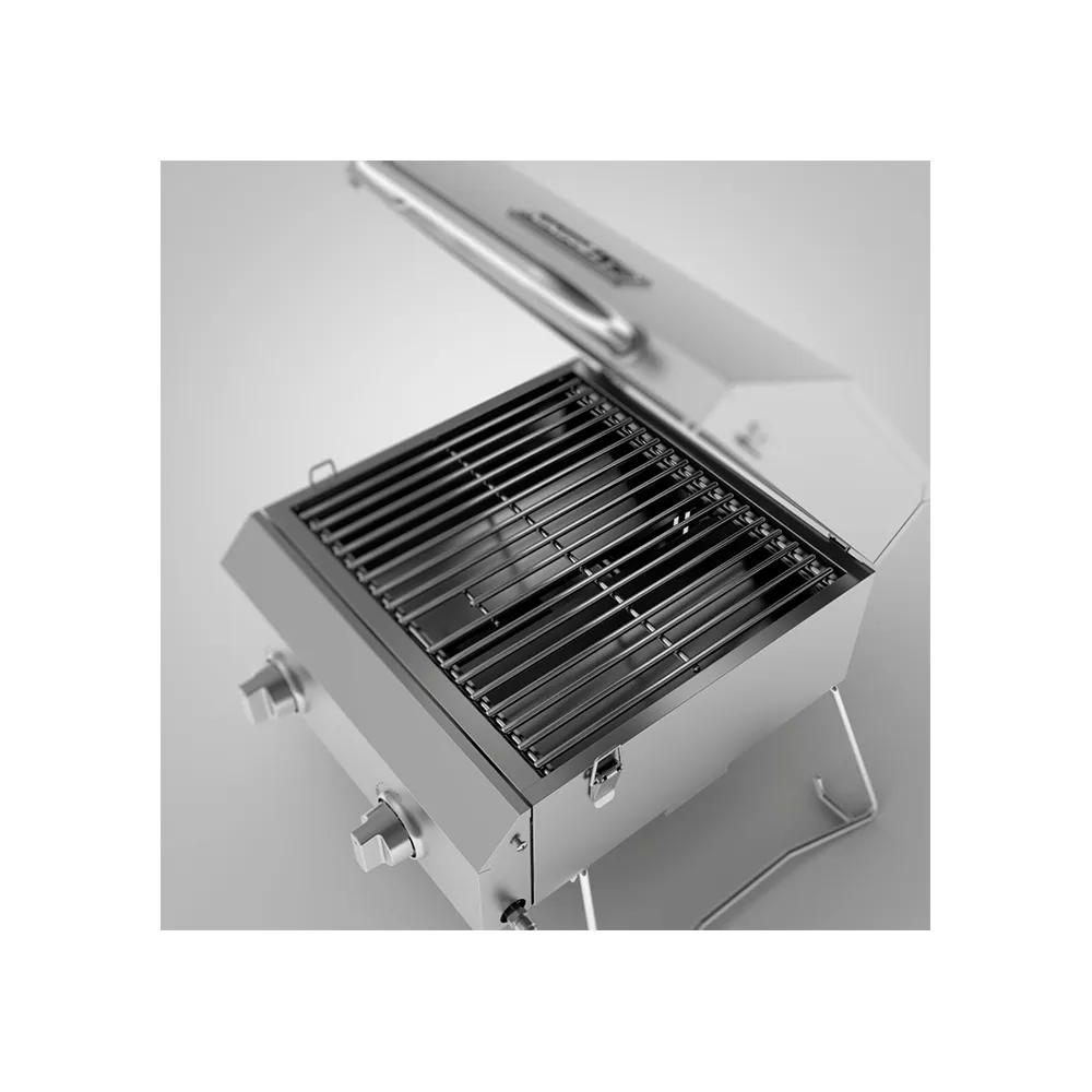 2-Burner Table Top Portable Propane Gas Grill