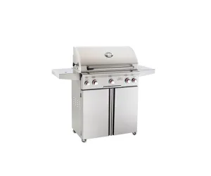 American Outdoor Grill 24" T-Series Portable Grill - 24PCT