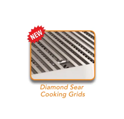 American Outdoor Grill 30" T-Series Portable Grill - 30PCT