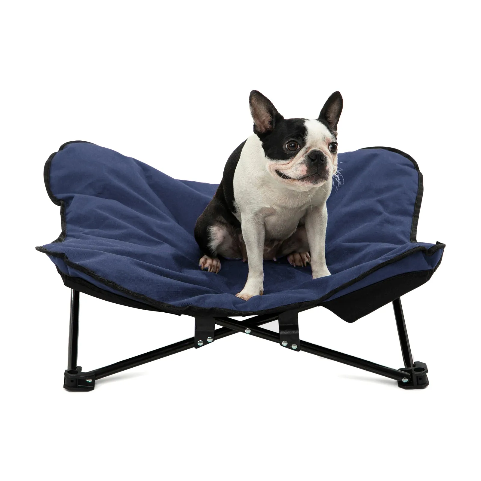 Butterfly Portable Folding Outdoor Pet Chair - Blue