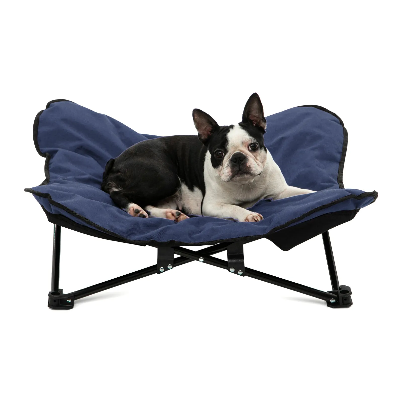 Butterfly Portable Folding Outdoor Pet Chair - Blue