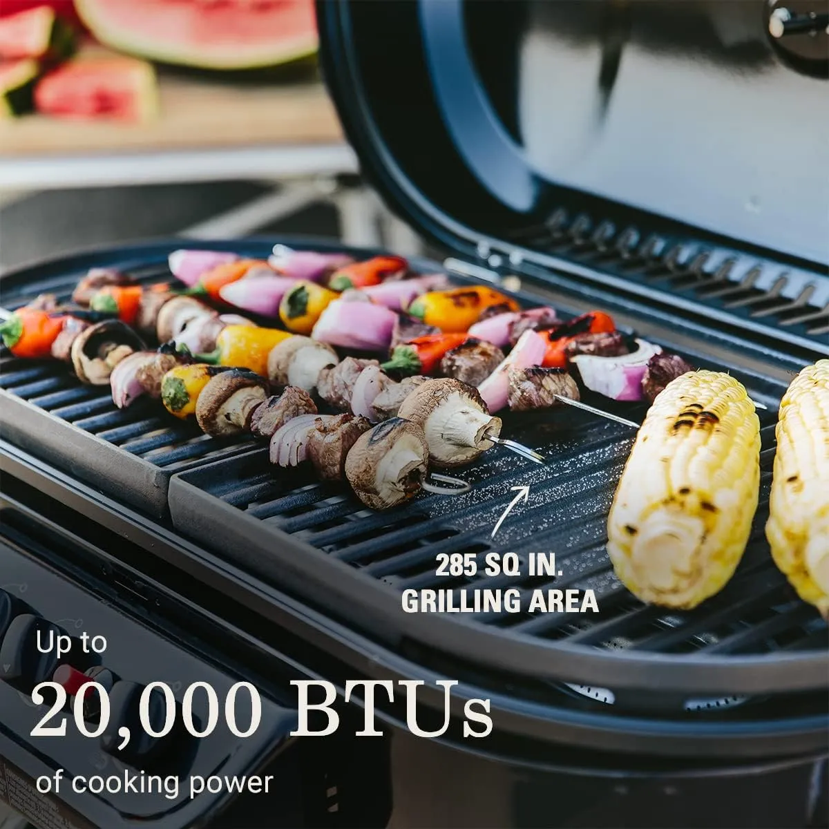 Coleman Gas Grill Portable Propane Grill RoadTrip