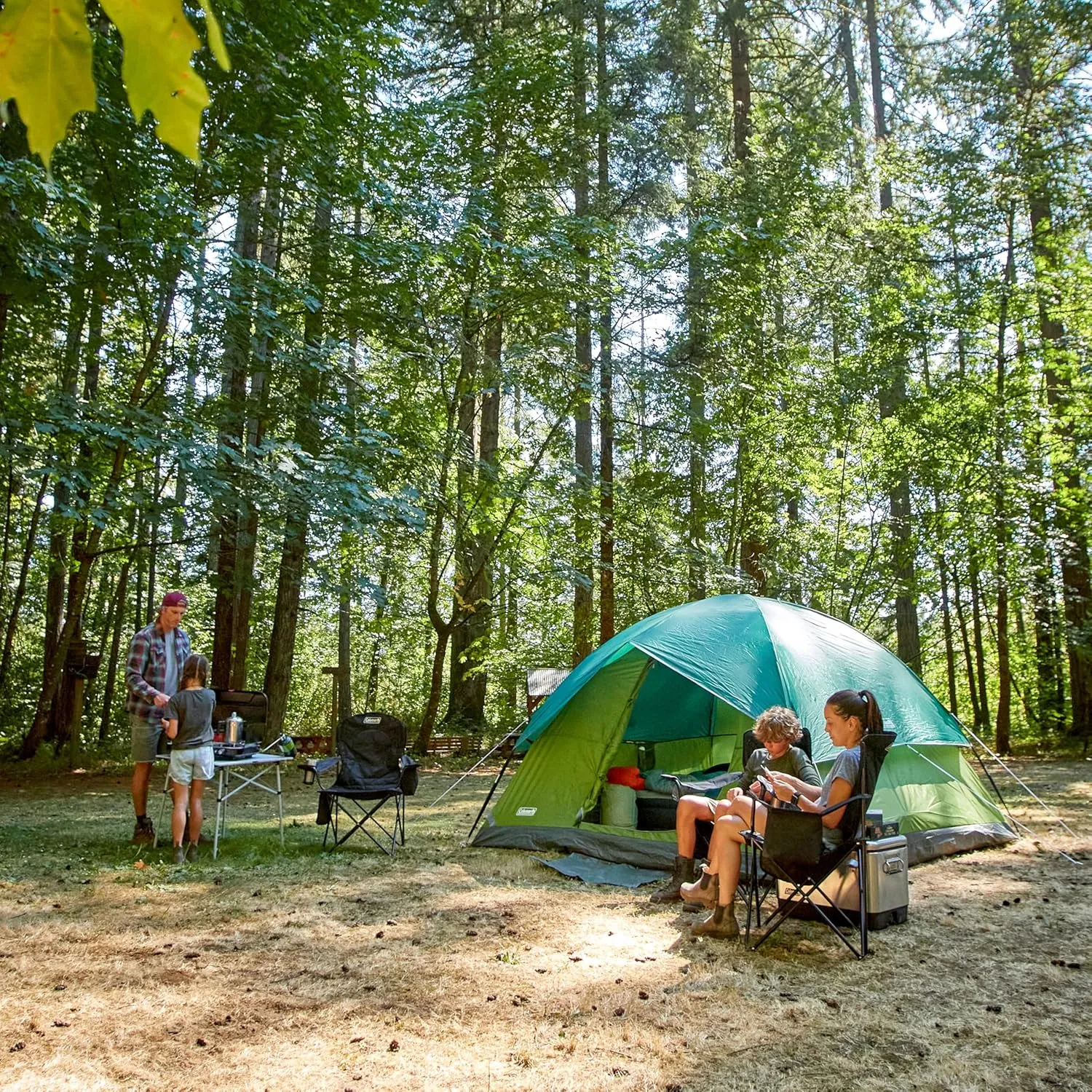 Coleman Sundome Camping Tent with Rainfly, 2/3/4/6 Person Tent Sets Up in 10 Mins, Weatherproof Shelter for Camping, Festivals, Backyard, Sleepovers, & More