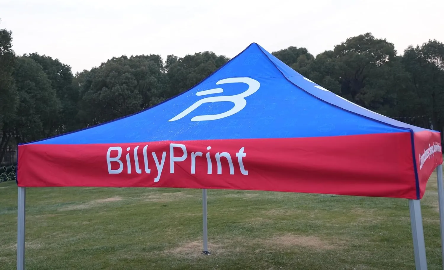 Custom Canopy Top with Logo for 10x10 Canopy Pop-Up Tent for Tradeshows, Featuring Your Logo (Canopy Topper Only)