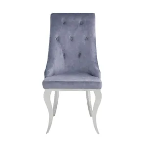 Dekel Side Chair (Set-2)