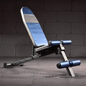 Foldable Adjustable Dumbbell Fitness Chair Multifunctional Sit Up Bench Weight Lifting Training Fitness Chair Exercise Equipment, Portable