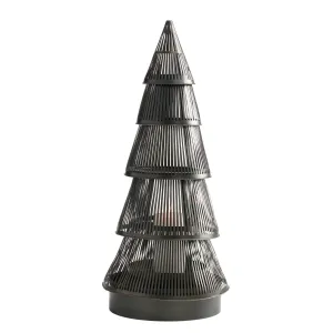 NOHO TREE
