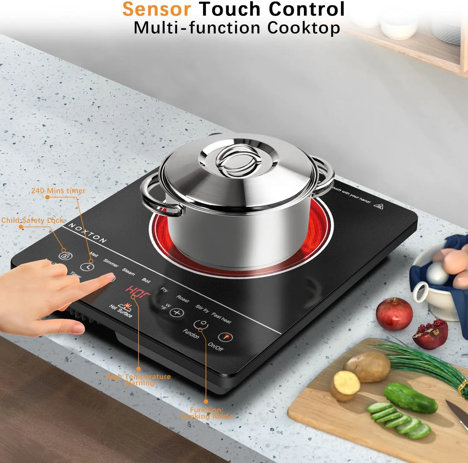 Noxton Portable Electric Stove 110V, 1800W Single Burner Electric Cooktop, Countertop Burner Electri Hot Plate, 4 Hour Timer, 9 Power Level, Child Safety Lock, Compatible with All Cookware(Black)