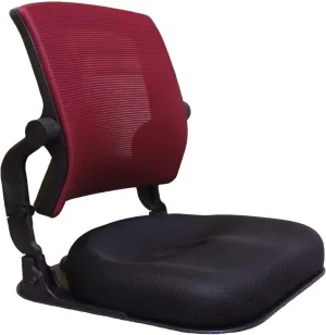 Patented Floor Chair with Back Support - Foldable Orthopedic Floor Chair for Adults/Children - Japanese Legless Seat for Meditation, TV, Pelvic Adjustment - Recliner with Back Support (Wine)