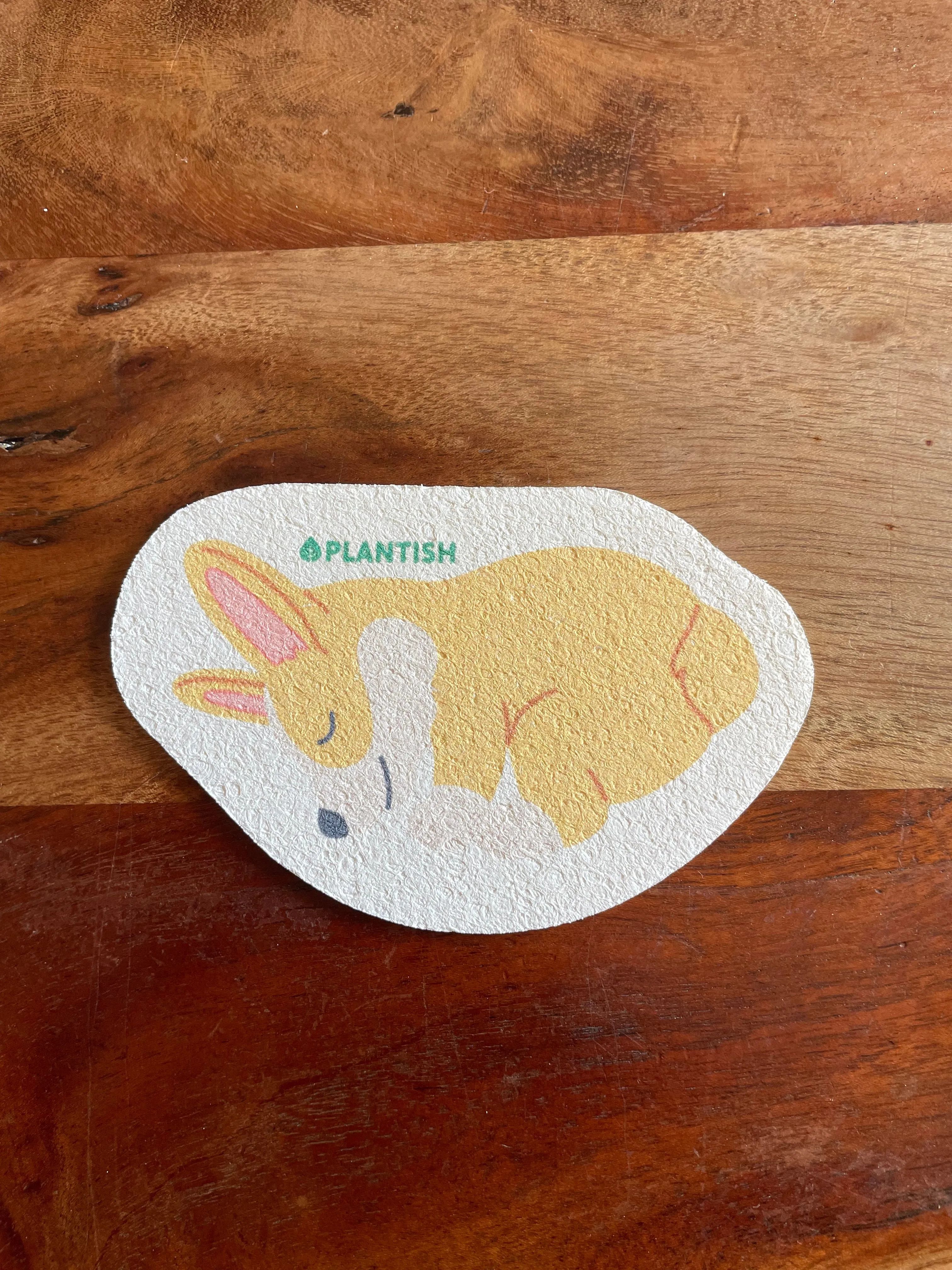 Pop-Up Sponges
