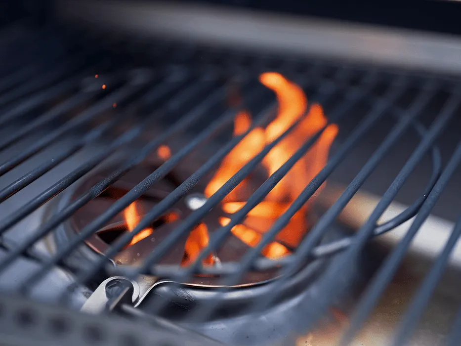 Prime300 Ergonomic Halo Comprehensive assistance Pellet Countertop Grill