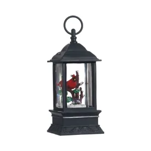 RI0029-Lantern : Cardinal