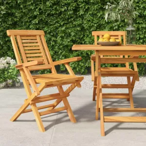 Solid Teak Wood Folding Patio Chairs Set of 2, 22"x24.8"x35.4" Outdoor Lounge Chairs with Slatted Design for Poolside Camping Beach Backyard
