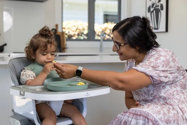 The MOOSE Frankie Foldable HighChair (Grey)